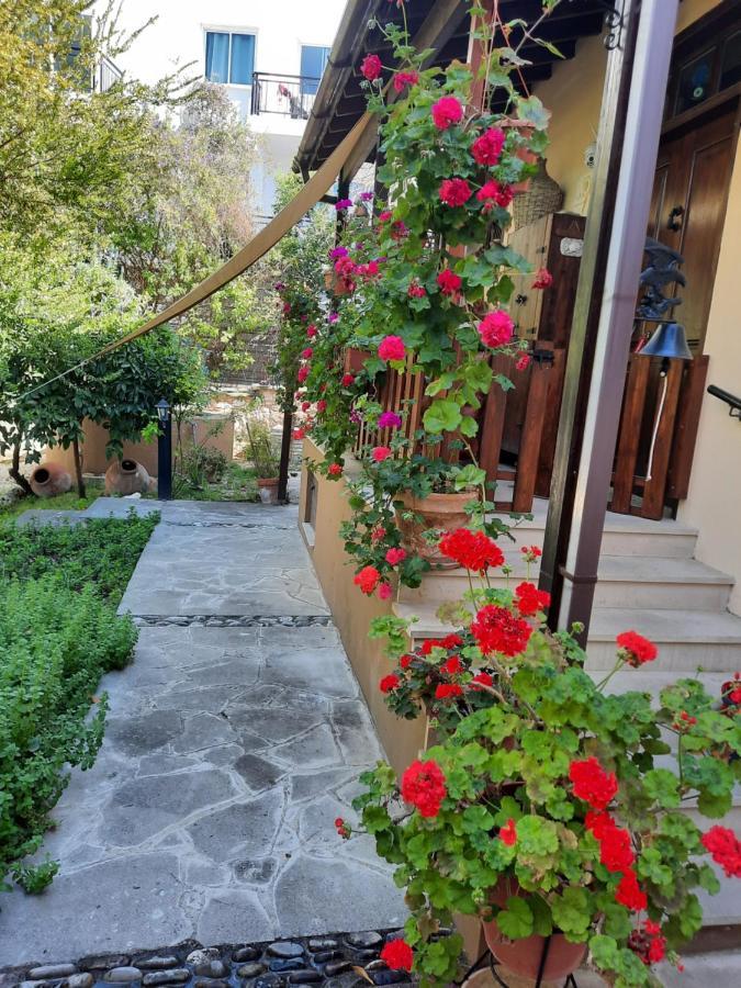 Vila Vasilion Agrotourism Polis Exteriér fotografie