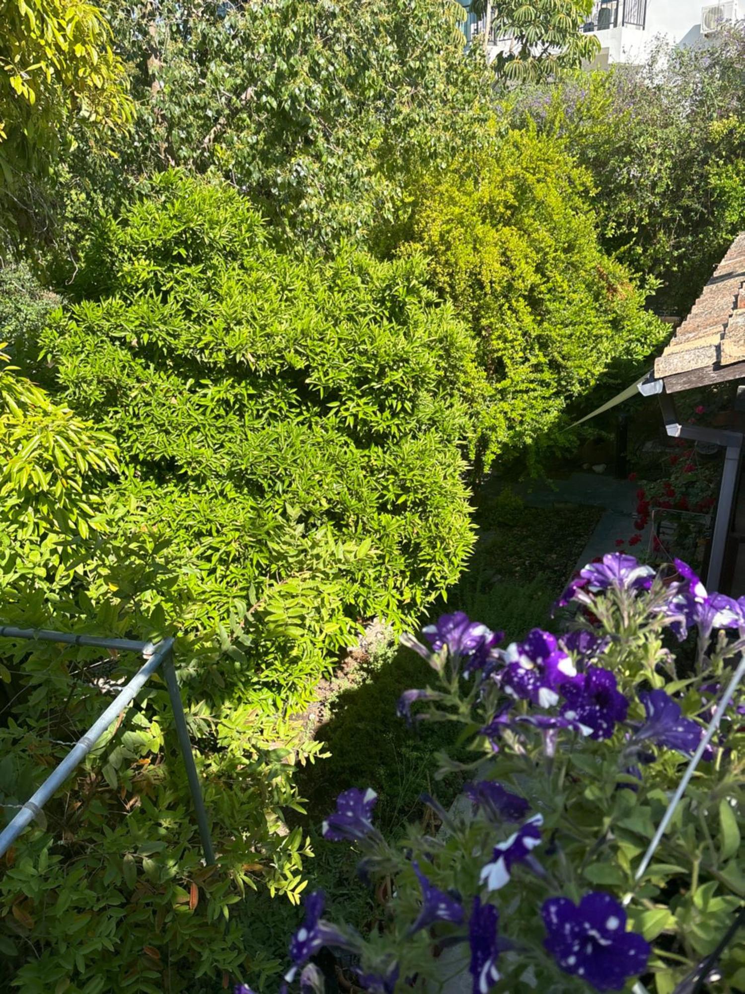 Vila Vasilion Agrotourism Polis Exteriér fotografie
