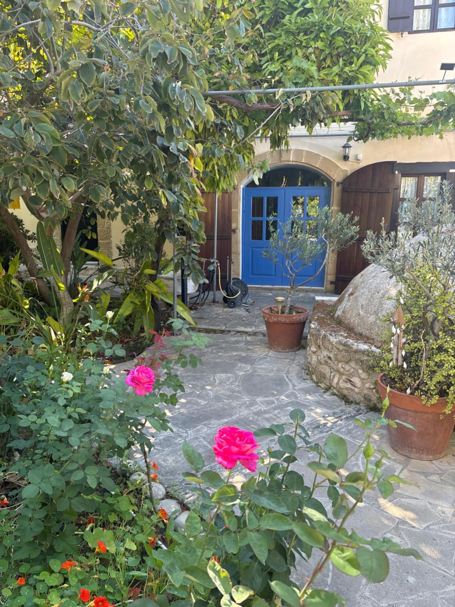Vila Vasilion Agrotourism Polis Exteriér fotografie