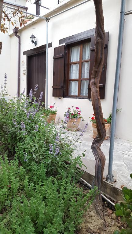 Vila Vasilion Agrotourism Polis Exteriér fotografie