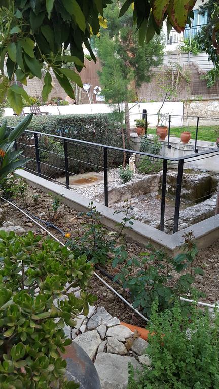 Vila Vasilion Agrotourism Polis Exteriér fotografie